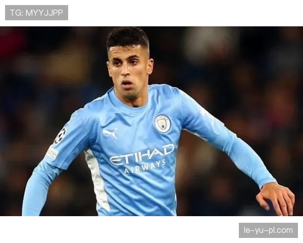 坎塞洛技术全面引领战术革新，新赛季表现备受期待