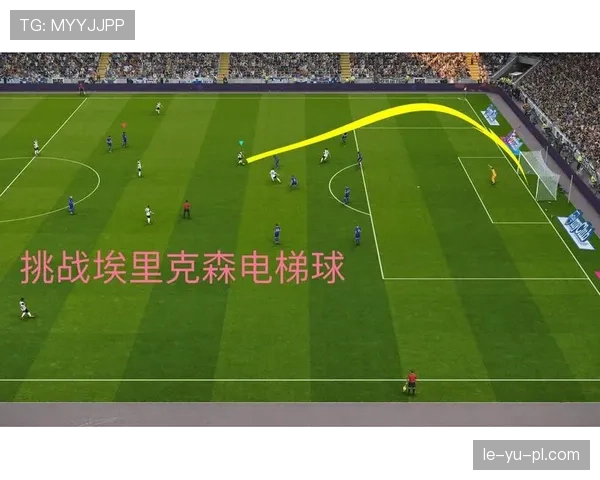 埃里克森职业轨迹