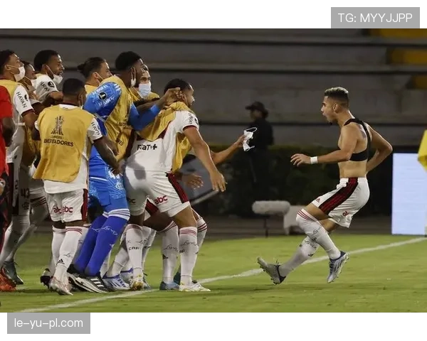 南美解放者杯事件最新进展